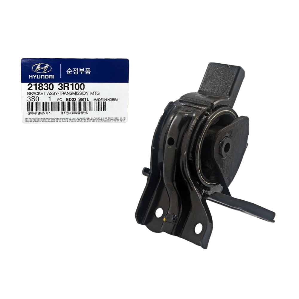 Genuine Parts 218303R100 GEN – ZAMOZUAN.com