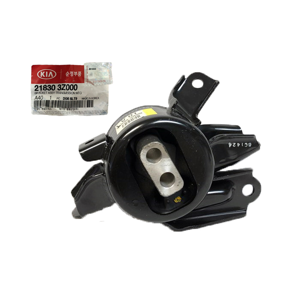 Genuine Parts 218303Z000 GEN – ZAMOZUAN.com