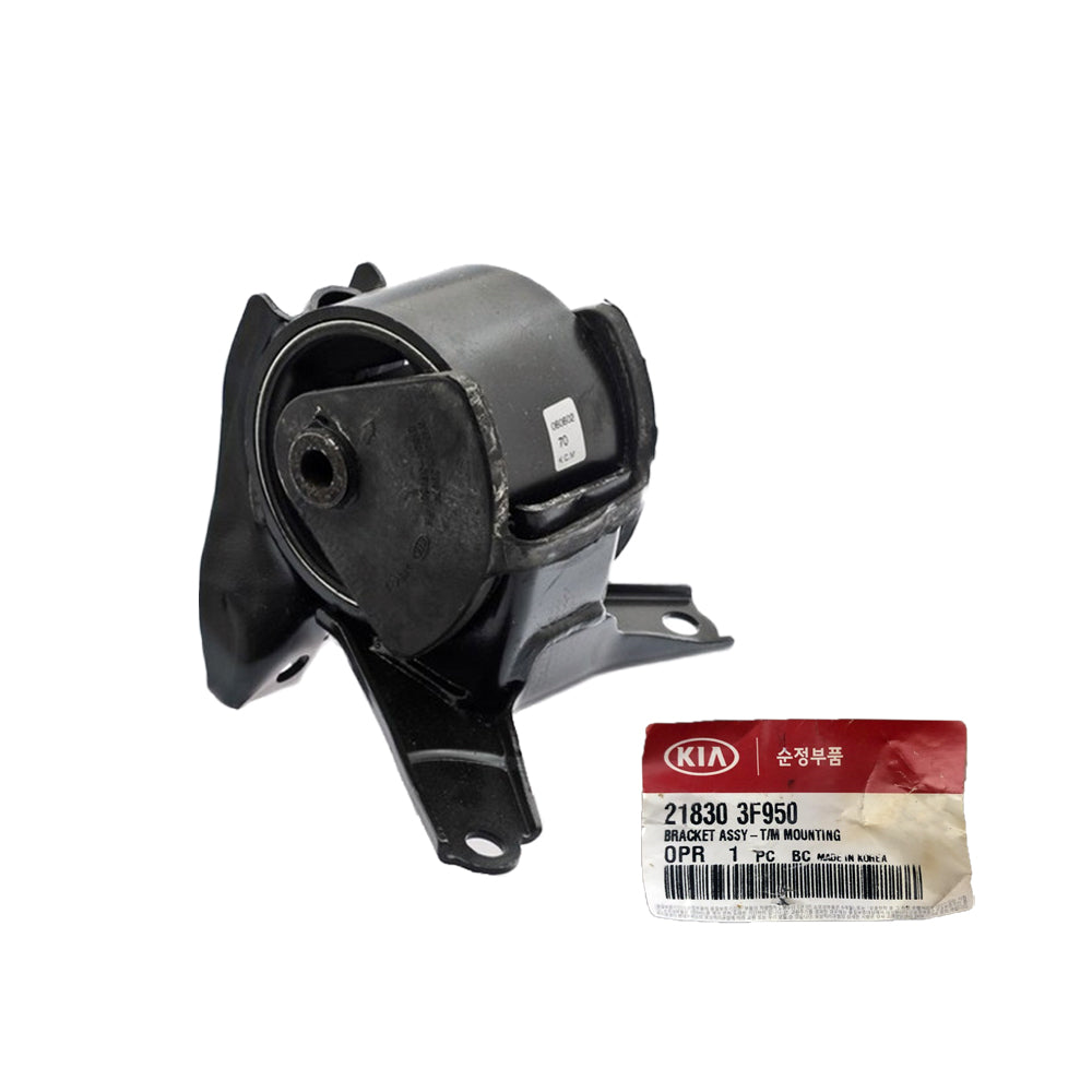 Genuine Parts 218303F950 GEN – ZAMOZUAN.com