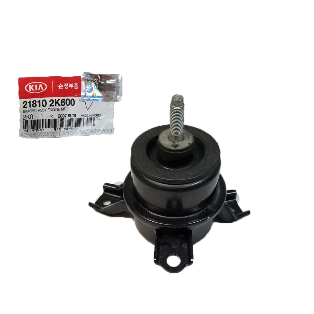 Genuine Parts 218102K400 GEN – ZAMOZUAN.com